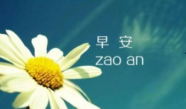 早安最新爆料图片